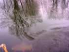 foto/diskuze/z_lovu/2007/th-img15249.jpg