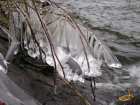 foto/diskuze/z_lovu/2007/th-img15383.jpg