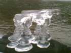 foto/diskuze/z_lovu/2007/th-img15483.jpg