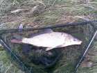 foto/diskuze/z_lovu/2008/th-img16086.jpg
