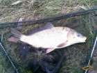 foto/diskuze/z_lovu/2008/th-img16087.jpg