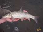 foto/diskuze/z_lovu/2008/th-img16129.jpg