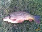 foto/diskuze/z_lovu/2008/th-img16239.jpg