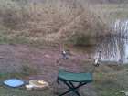 foto/diskuze/z_lovu/2008/th-img16240.jpg