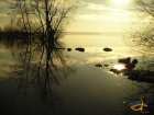 foto/diskuze/z_lovu/2008/th-img16258.jpg