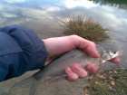 foto/diskuze/z_lovu/2008/th-img16261.jpg