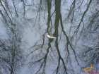 foto/diskuze/z_lovu/2008/th-img16366.jpg