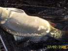 foto/diskuze/z_lovu/2008/th-img16405.jpg