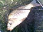 foto/diskuze/z_lovu/2008/th-img16495.jpg