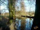 foto/diskuze/z_lovu/2008/th-img16520.jpg