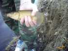 foto/diskuze/z_lovu/2008/th-img16630.jpg