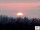 foto/diskuze/z_lovu/2008/th-img16848.jpg