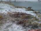 foto/diskuze/z_lovu/2008/th-img16879.jpg