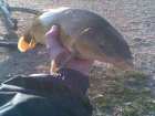 foto/diskuze/z_lovu/2008/th-img16886.jpg
