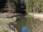 foto/diskuze/z_lovu/2008/th-img16890.jpg