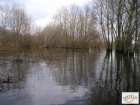 foto/diskuze/z_lovu/2008/th-img17103.jpg
