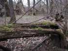 foto/diskuze/z_lovu/2008/th-img17119.jpg