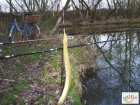 foto/diskuze/z_lovu/2008/th-img17296.jpg