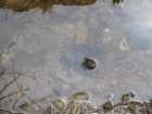 foto/diskuze/z_lovu/2008/th-img17347.jpg