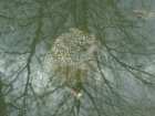 foto/diskuze/z_lovu/2008/th-img17348.jpg