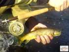 foto/diskuze/z_lovu/2008/th-img17470.jpg