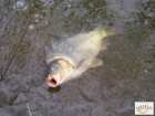 foto/diskuze/z_lovu/2008/th-img17627.jpg