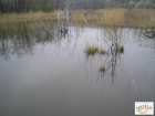 foto/diskuze/z_lovu/2008/th-img17644.jpg