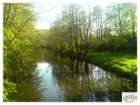 foto/diskuze/z_lovu/2008/th-img17736.jpg