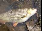 foto/diskuze/z_lovu/2008/th-img17770.jpg