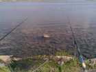 foto/diskuze/z_lovu/2008/th-img17797.jpg