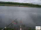 foto/diskuze/z_lovu/2008/th-img17886.jpg