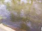 foto/diskuze/z_lovu/2008/th-img17888.jpg