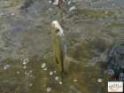 foto/diskuze/z_lovu/2008/th-img17921.jpg
