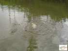 foto/diskuze/z_lovu/2008/th-img18022.jpg