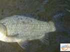 foto/diskuze/z_lovu/2008/th-img18042.jpg