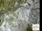 foto/diskuze/z_lovu/2008/th-img18043.jpg