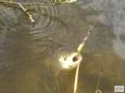 foto/diskuze/z_lovu/2008/th-img18072.jpg
