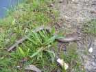 foto/diskuze/z_lovu/2008/th-img18080.jpg