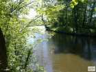 foto/diskuze/z_lovu/2008/th-img18146.jpg