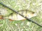 foto/diskuze/z_lovu/2008/th-img18156.jpg