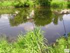 foto/diskuze/z_lovu/2008/th-img18370.jpg