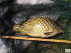 foto/diskuze/z_lovu/2008/th-img18475.jpg