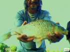foto/diskuze/z_lovu/2008/th-img18597.jpg