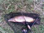 foto/diskuze/z_lovu/2008/th-img18601.jpg