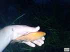 foto/diskuze/z_lovu/2008/th-img18702.jpg
