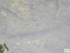 foto/diskuze/z_lovu/2008/th-img18762.jpg
