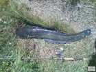 foto/diskuze/z_lovu/2008/th-img18781.jpg