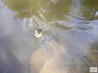 foto/diskuze/z_lovu/2008/th-img18871.jpg