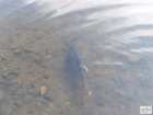foto/diskuze/z_lovu/2008/th-img18880.jpg
