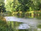foto/diskuze/z_lovu/2008/th-img19158.jpg